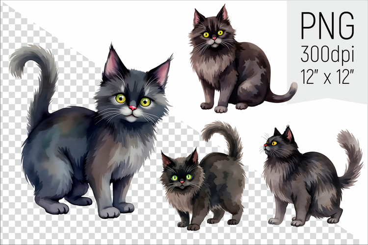 Halloween Black Cat Clipart | Witch Cat Illustrations