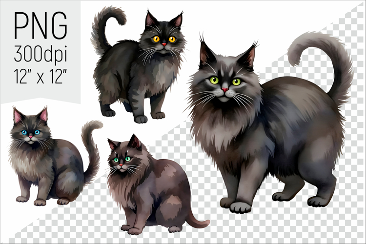 Halloween Black Cat Clipart | Witch Cat Illustrations