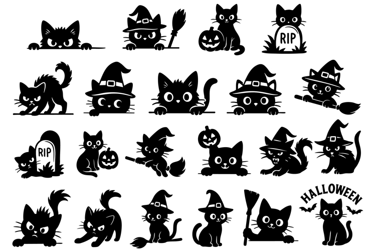 Cat Vector Image 14