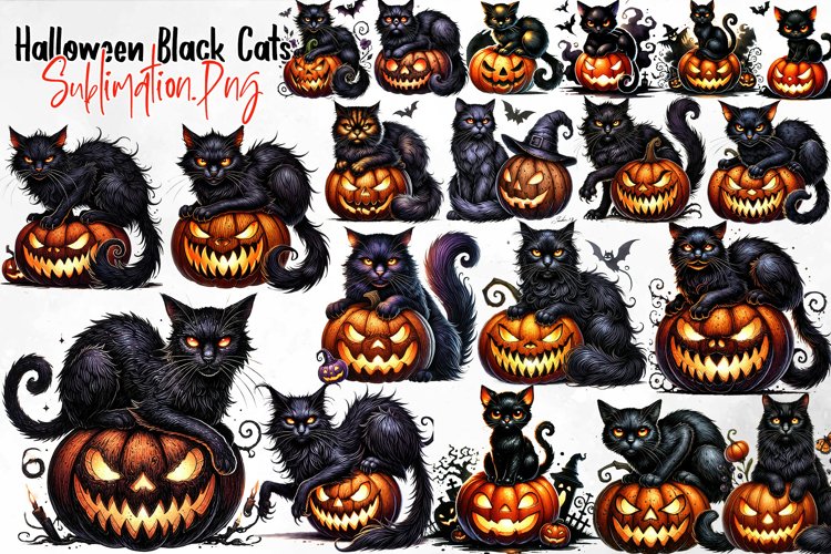 Black Cat Png Image 9