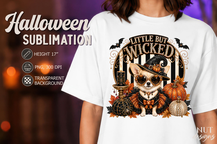 Pet Halloween chihuahua Dog lovers Glamorous circus