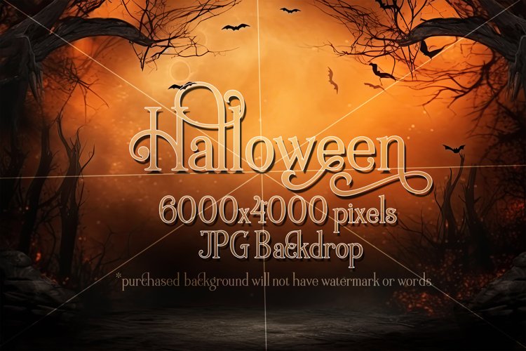 Halloween Backdrop, Halloween Fantasy Photo Background, d2