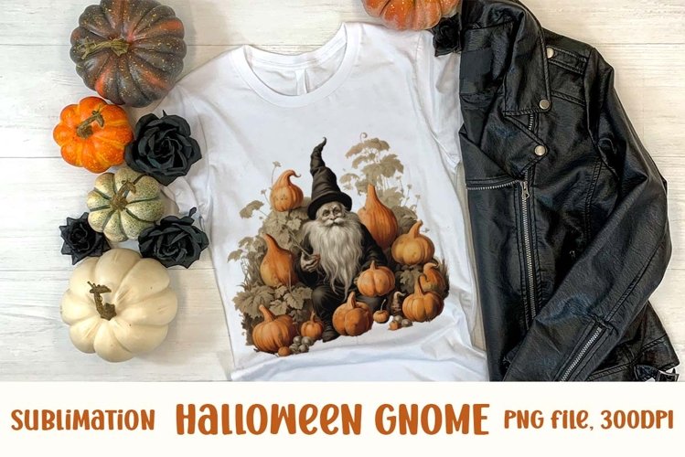 Gnome Clipart Image 15