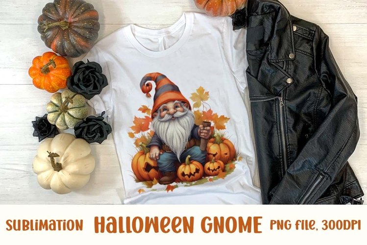 Gnome Clipart Image 8