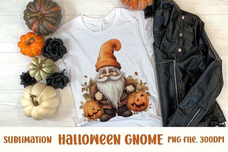 Gnome Clipart Image 12