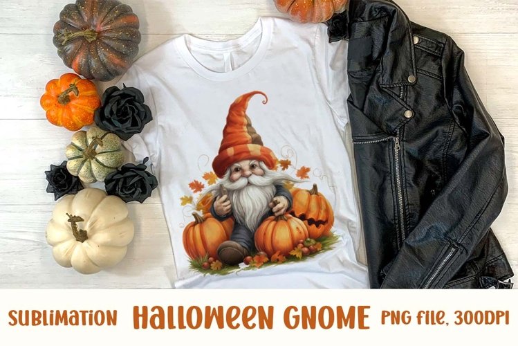 Gnome Clipart Image 6