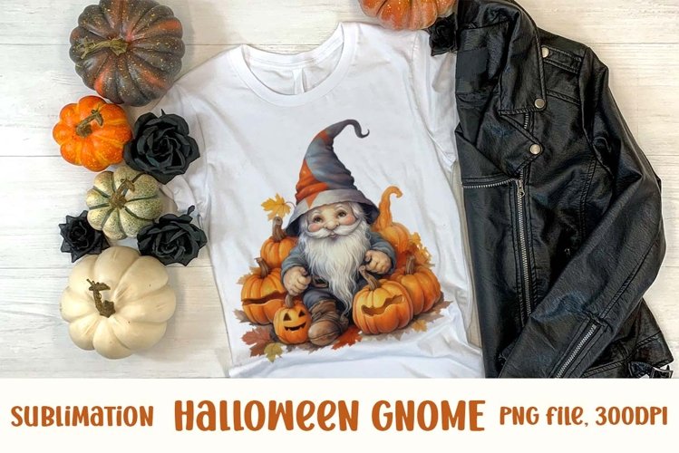 Gnome Clipart Image 8