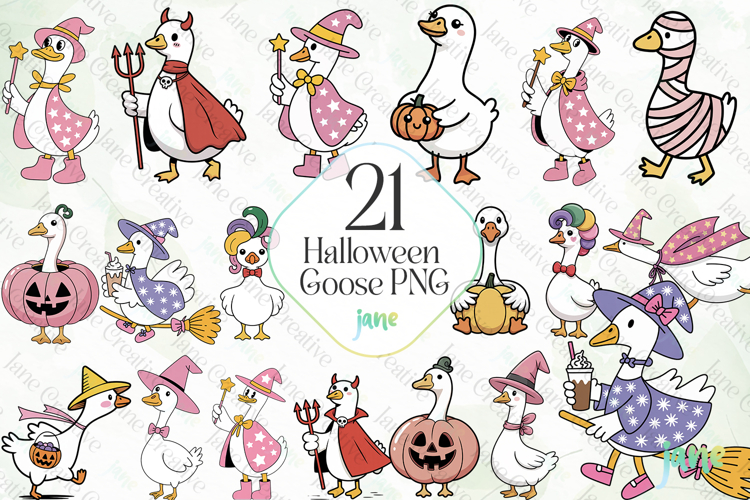 Goose Illustration Image 2