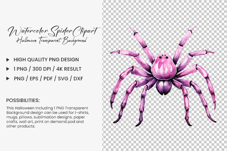 Spider PNG Image 6