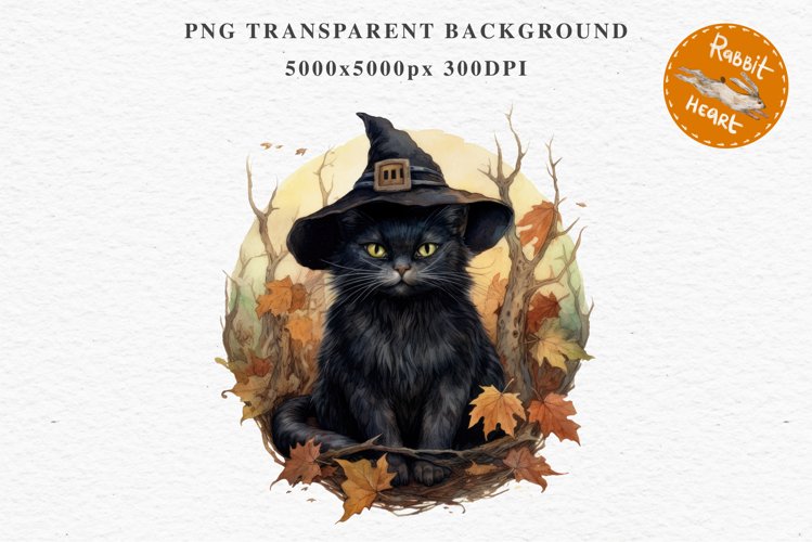 Wizard Png Image 10