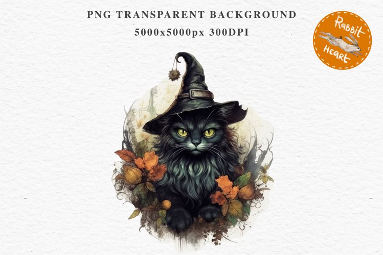 Wizard Png Image 7