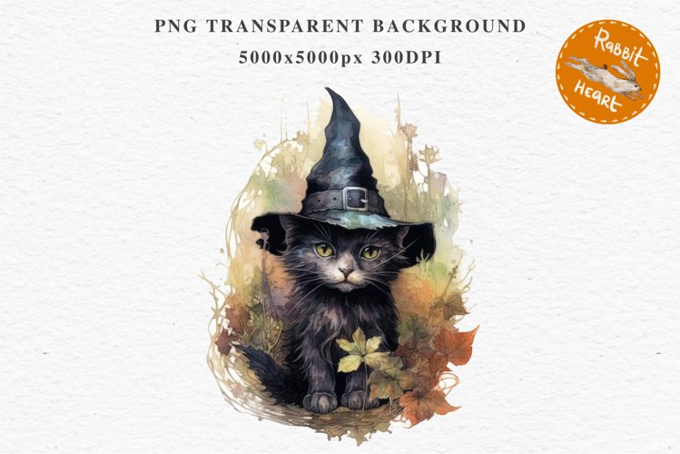 Wizard Png Image 16
