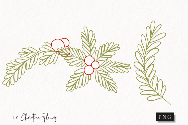 Hand Drawn Plant Clipart | Christmas PNG