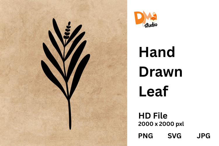 Leaf PNG Image 13