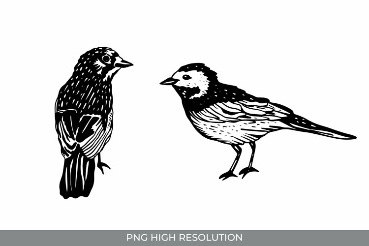 Vintage PNG Image 17