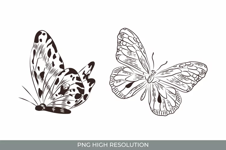 Hand Drawn Vintage Butterfly Clipart Set