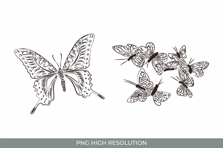 Hand Drawn Vintage Butterfly Clipart Set