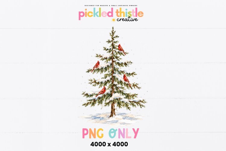 A charming woodland bird PNG illustration with a tall snowy pine tree, four red cardinals, muted green branches, and expressive, loosely painted brushstrokes.
