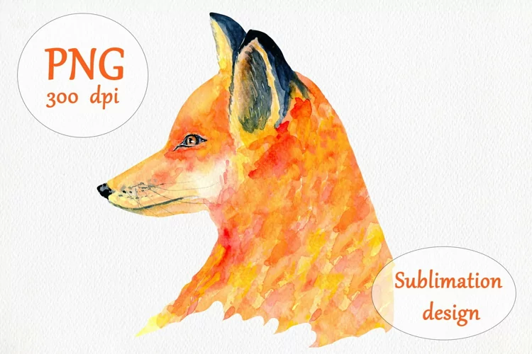 Watercolor Red Fox Sublimation Design - Animal Clipart PNG