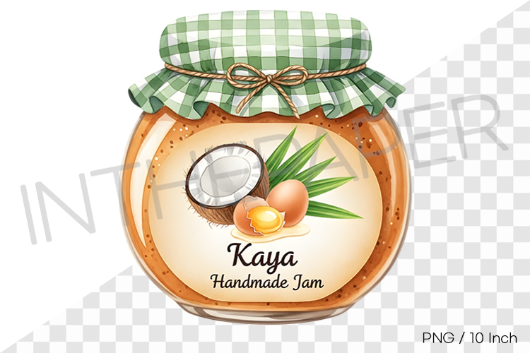 Coconut Illustration Image 15