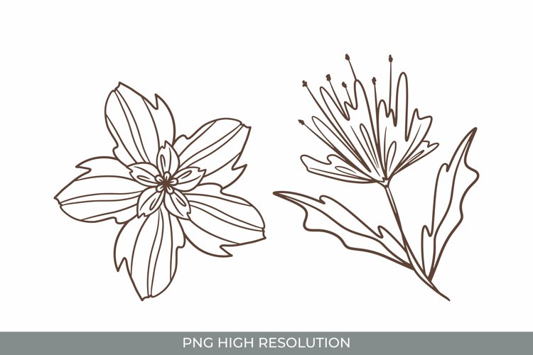 Handrawn Flowers Clipart Set example image 1