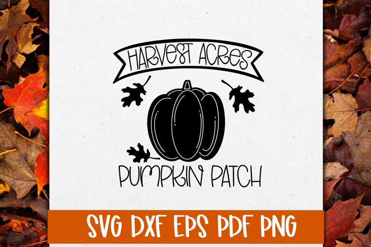 Pumpkin Fall Svg Image 6