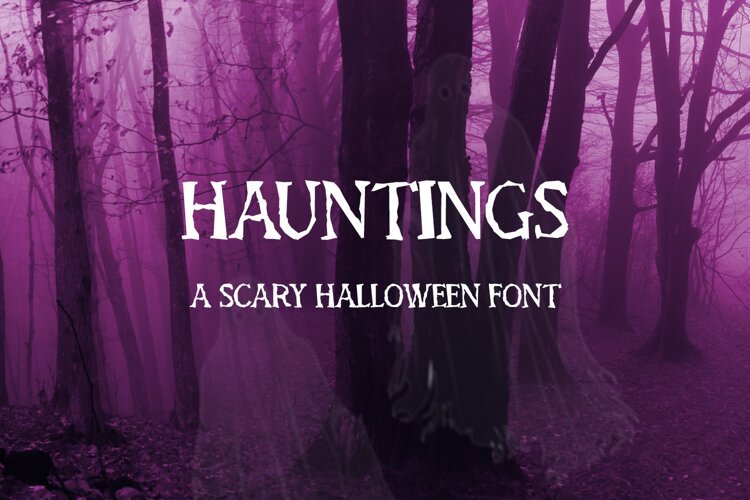 Hauntings Serif Font example image 1
