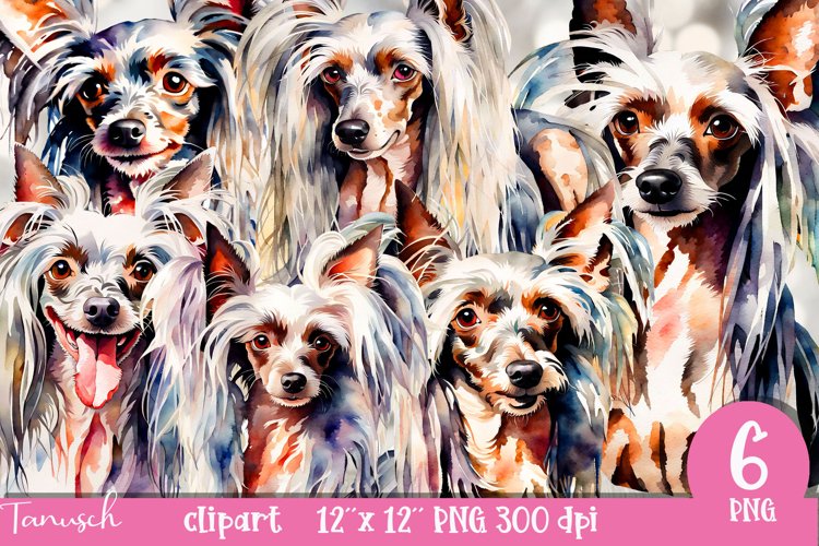 watercolor Chinese Crested clipart Dog sublimation PNG