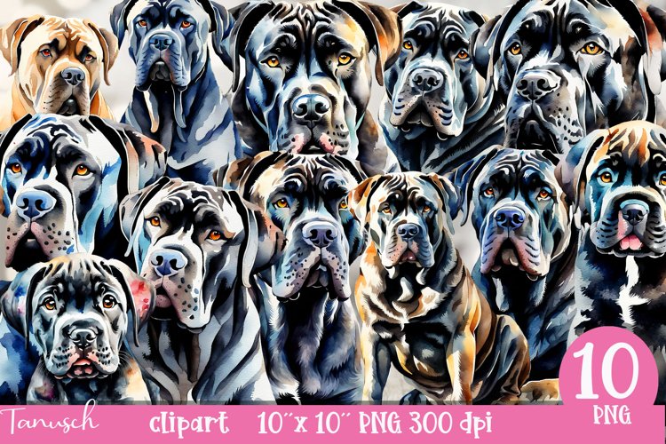 watercolor CANE CORSO Dog sublimation clipart PNG example image 1