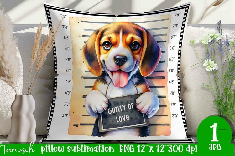Pillow Clipart Image 13