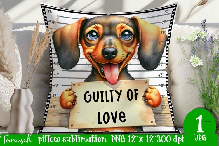 funny mugshot dog pillow sublimation design