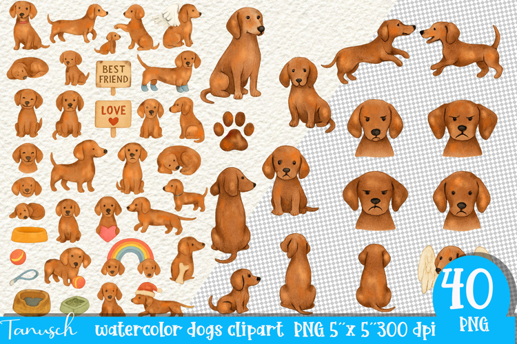 Watercolor dachshund Dogs clipart set