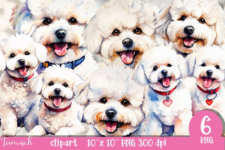 watercolor Bichon Frise Dog sublimation clipart PNG example image 1