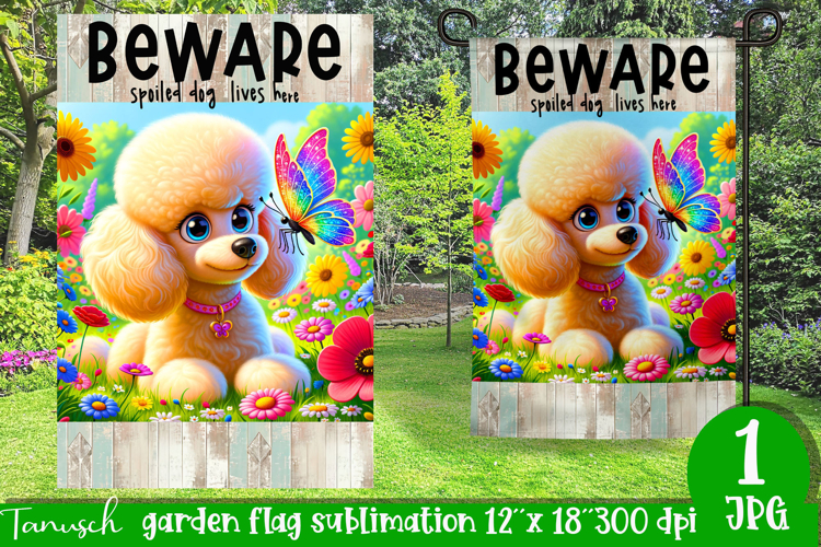 Poodle Png Image 21