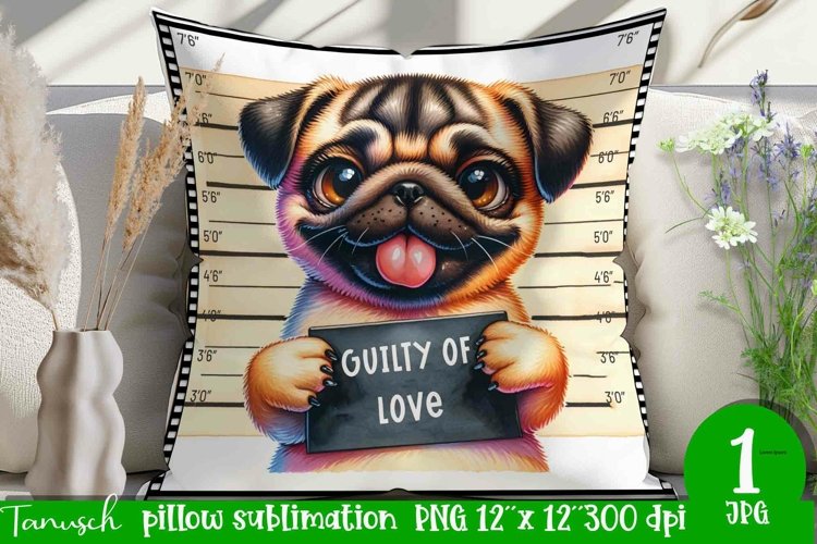 Pillow Clipart Image 24