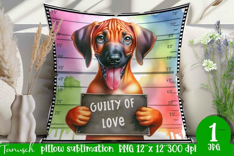 Pillow Clipart Image 23