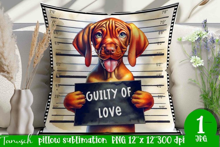 Pillow Clipart Image 22