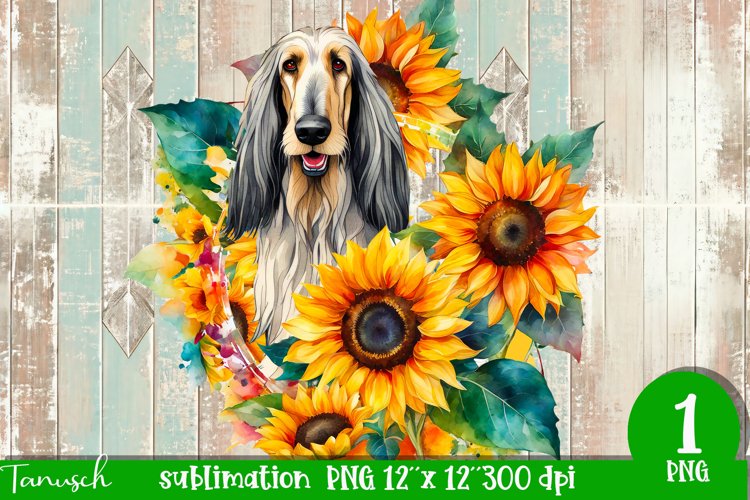 Sunflowers Png Image 21