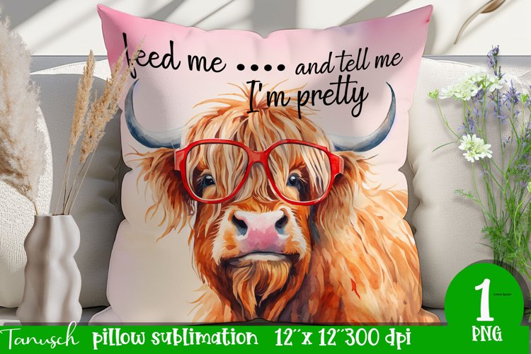 Pillow Clipart Image 9