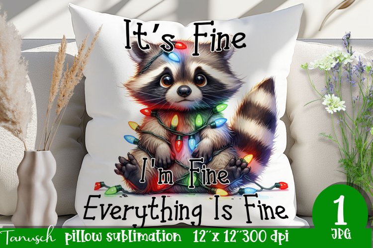 Raccoon Clipart Image 12