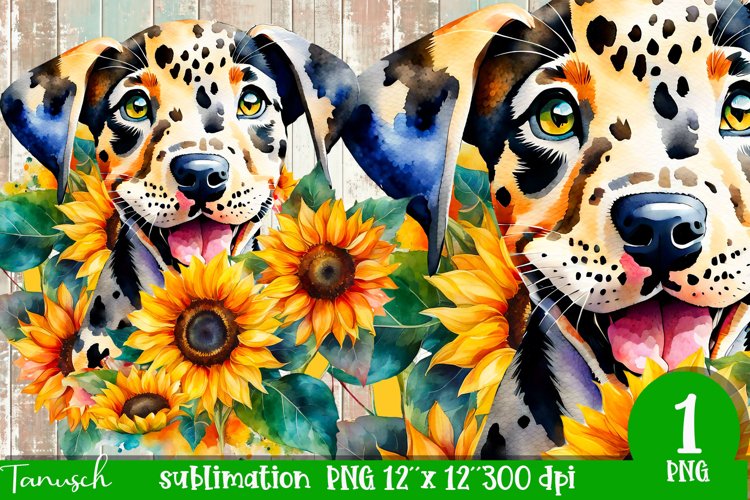 Watercolor Sunflower Clipart Image 13