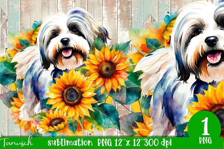 watercolor Havanese dog sublimation PNG