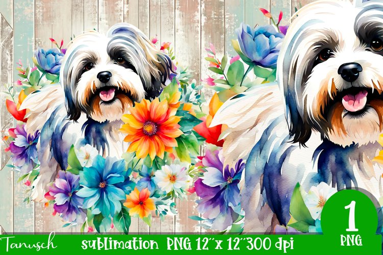 watercolor Havanese dog sublimation PNG
