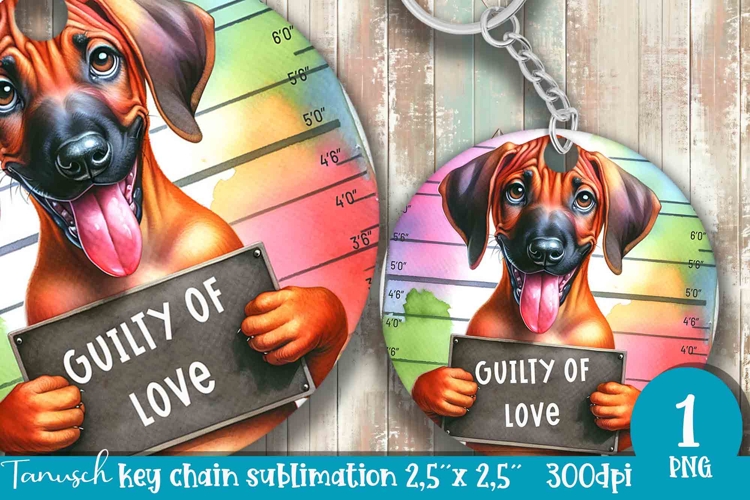 funny mugshot dog in prison Key chain sublimation design
