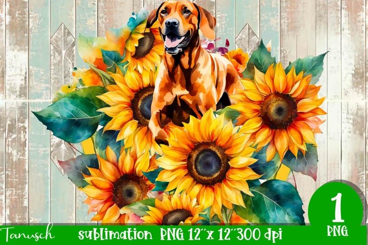 watercolor RHODESIAN RIDGEBACK sublimation PNG / dog design
