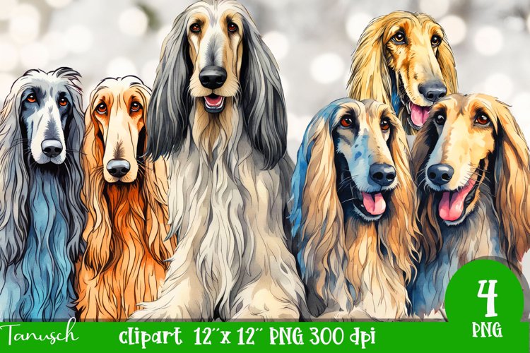 watercolor afghan hound dog sublimation clipart