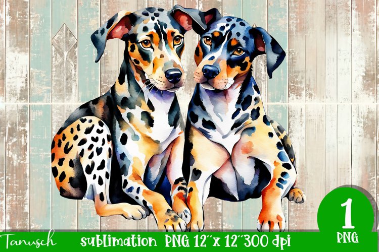 watercolor Catahoula Leopard dog sublimation mastiff PNG