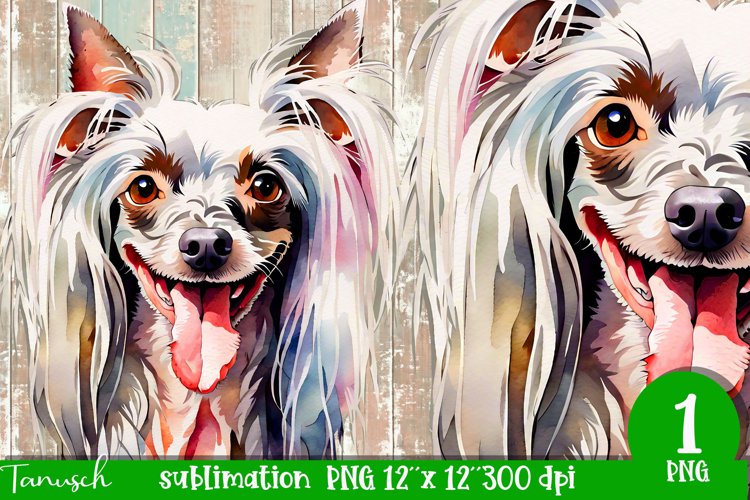 Puppy Clipart Image 21