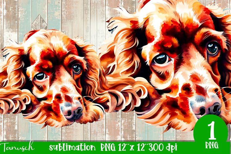 watercolor Cocker Spaniel dog sublimation PNG