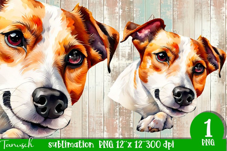Hund Png Image 12